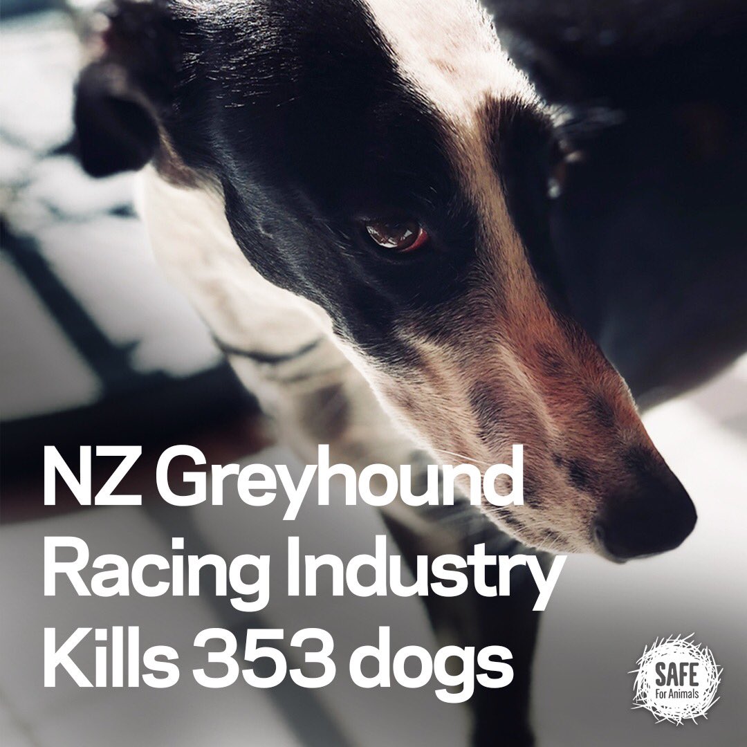 <a href="/tina_corthals/">Tina Corthals</a> <a href="/Change/">Change.org</a> Signed ✍️
Only The #HumanScum thinks that my brothers, The VOICELESS are here for their entertainment.

#UnKn0wn 
#BeAVoiceOfTheVoiceless