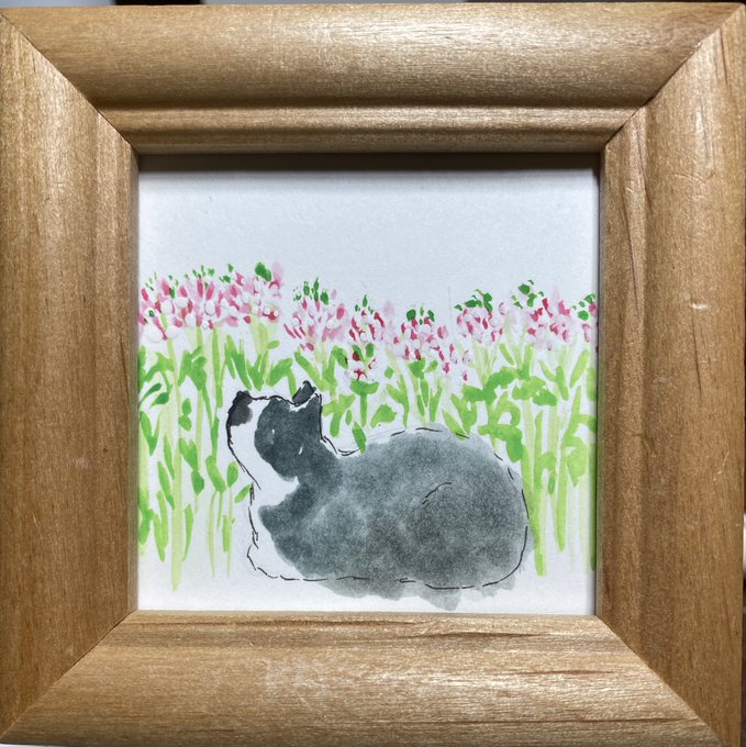 クレオメのtwitterイラスト検索結果