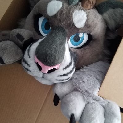 MissingJay's tweet image. ✨Hello everyone✨
Instagram:
art-instagram.com/missing.jay/
fursuit  making-instagram.com/feralfiber/
toyhouse:toyhou.se/Missingjay