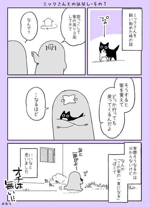 せっかくなのでミックさんとの思い出①#世界猫の日 