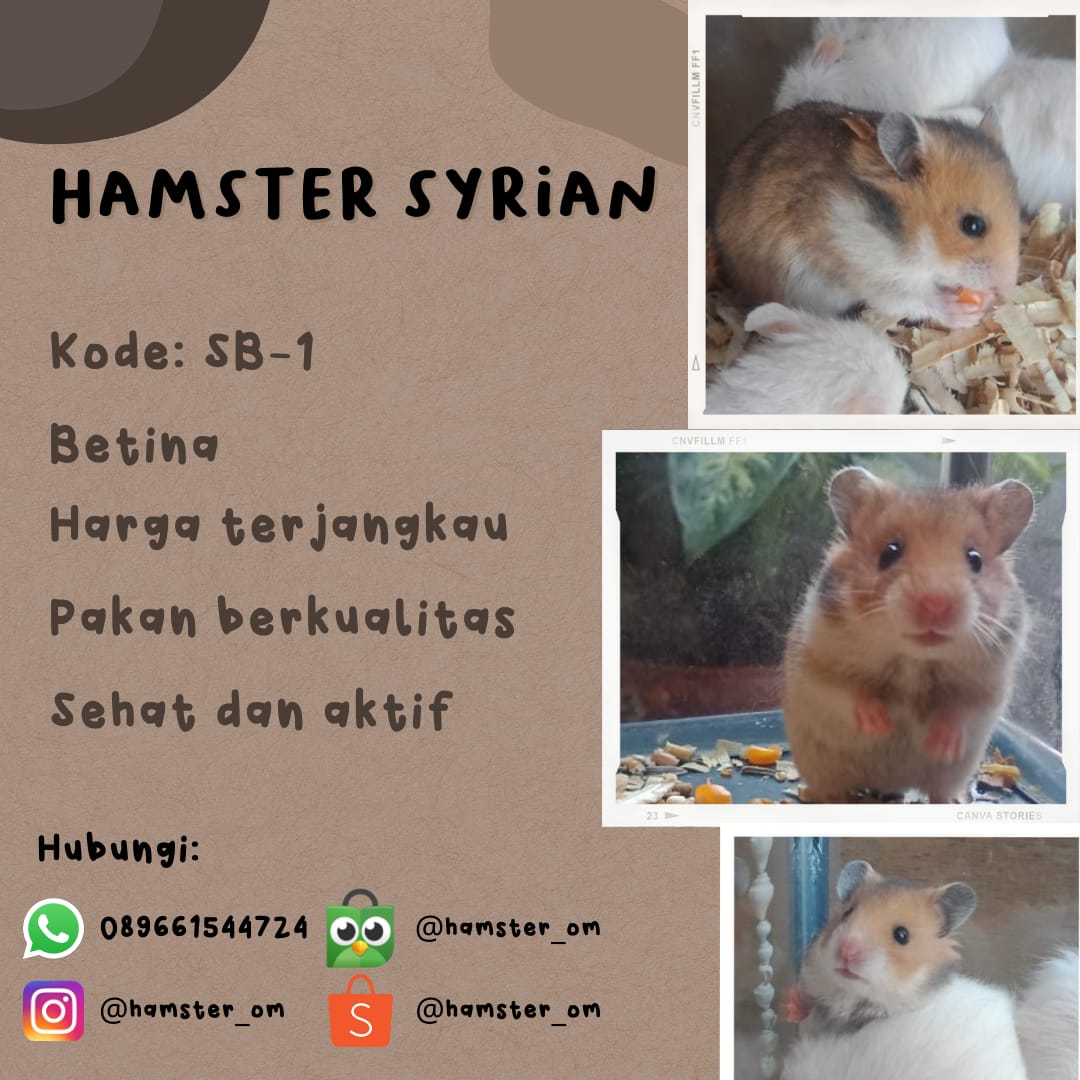 galihnurulp's tweet photo. https://t.co/BnpQhyX0Cy