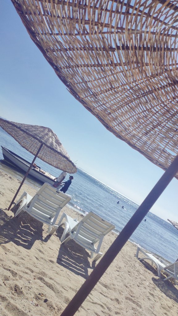 Varmı erdekde güzel dakikalar geçirmek isteyen bayanlar yaza bilir
Herşey gizlilik içinde...