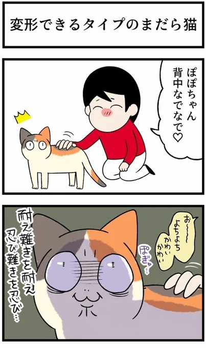 愛猫の"塩対応"に慣れた飼い主だったが…… かまってちゃんな新入り子猫に衝撃を受ける漫画が面白い https://t.co/RhEYxSFwc1 @itm_nlabより 