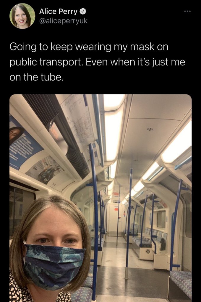 palmer // not for everyone tweet media