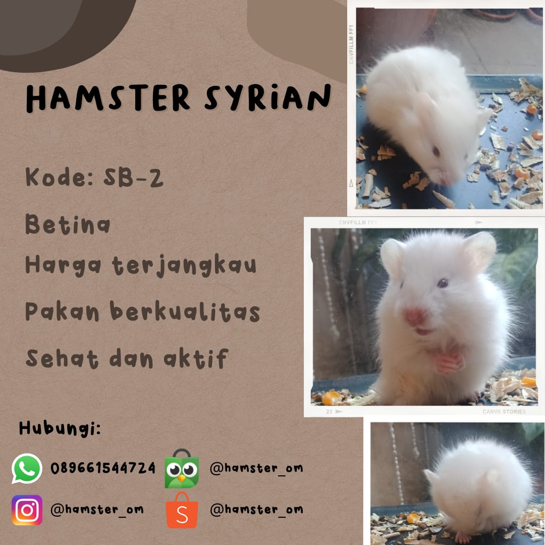 galihnurulp's tweet photo. ready gaess https://t.co/8mp2D6YJBQ