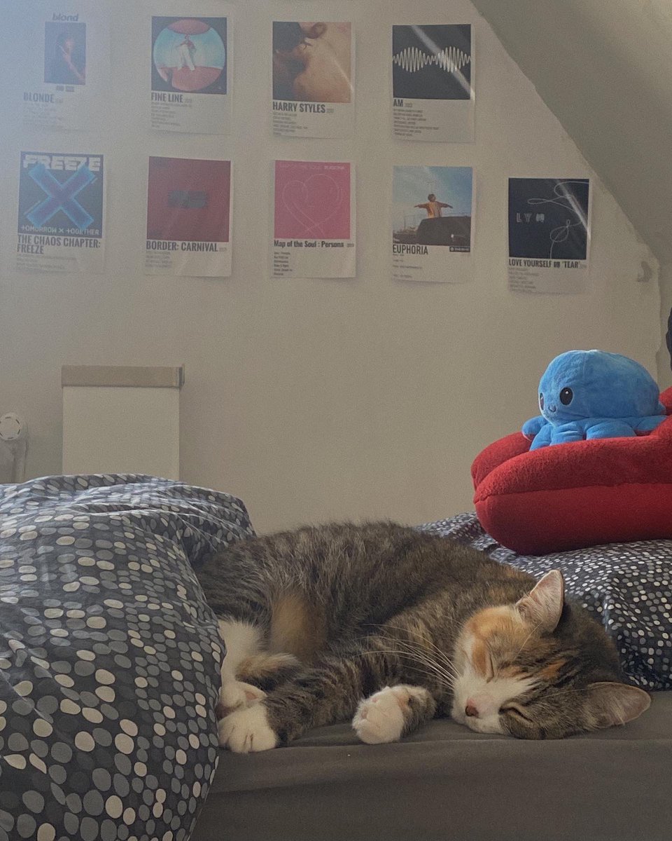 kay🤎🪴 tweet media