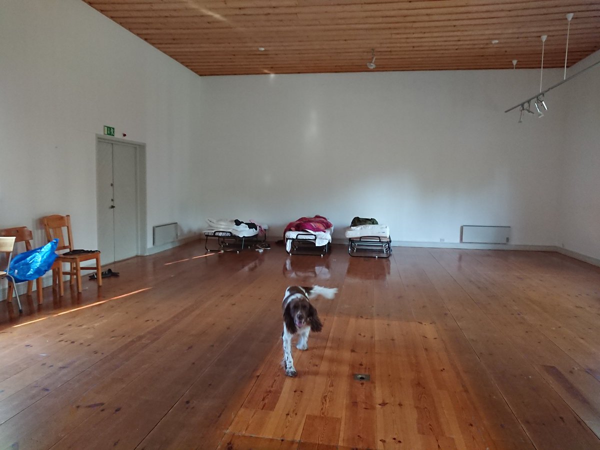 SAOCousins's tweet photo. A mini holiday to Omberg in Östergötland. Because of the dogs we had to sleep in the old Naturum (nature exhibition) at Stocklycke Hostel. Plenty of space 😂, lots of birds and a success
#tåkern #omberg #nature https://t.co/xW9ncQAvQk