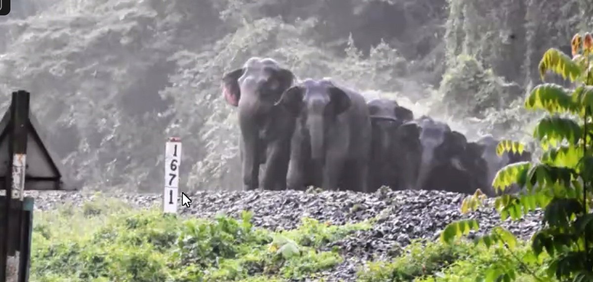 arghadeep barua tweet media