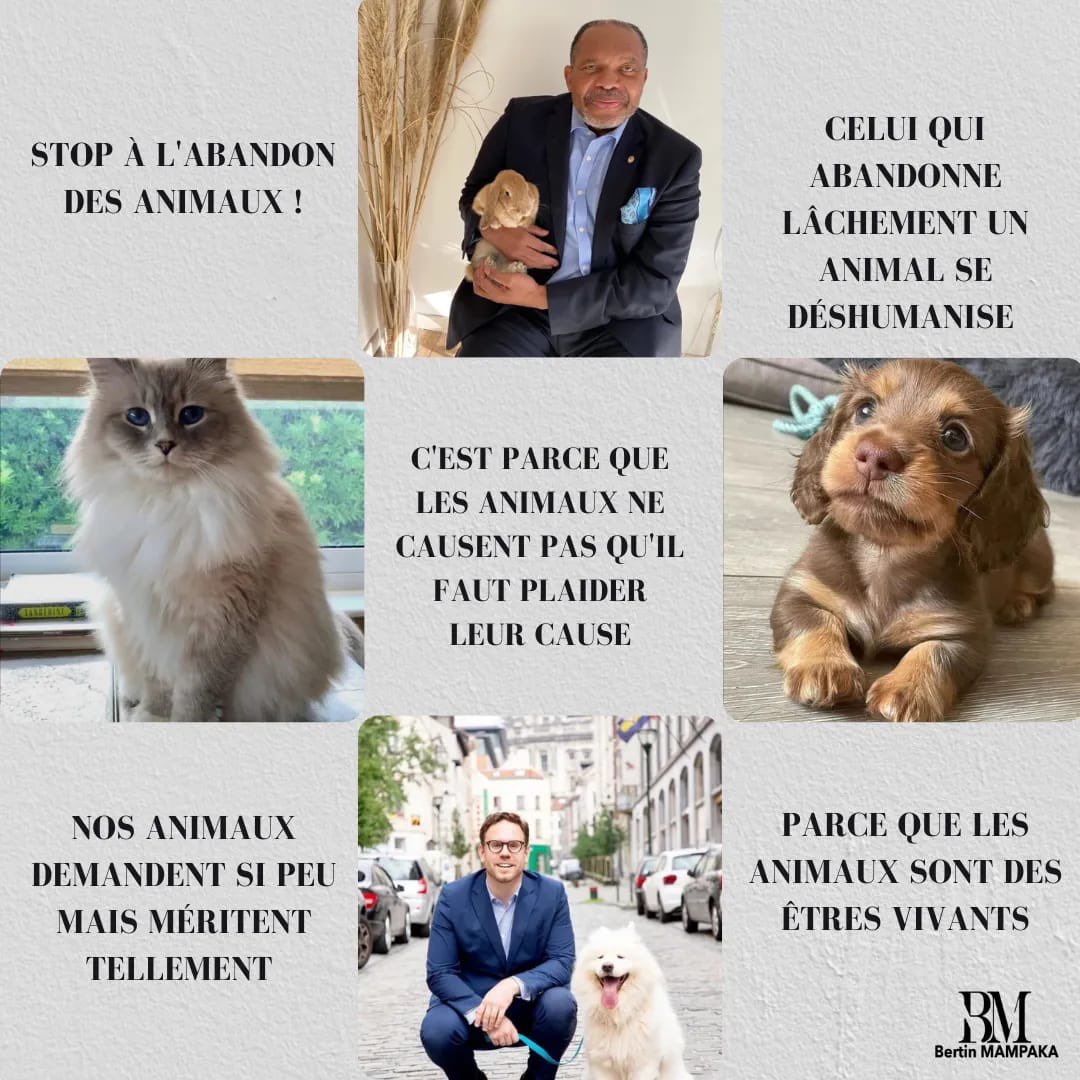 BMampaka's tweet photo. ❗❗❗🐶🐱🐰STOP aux abandons des animaux de compagnies. 
#SPA #refuge #collectifESPOAr #animaux #animauxenperil #HelpAnimals #sanscollier #BienEtreAnimal #Veeweyde #adoption#SansFamilles #LesAmisDesAnimaux #30millionsDamis #AnimauxAadopter #animalier #chiens #chats #MR.be https://t.co/VV6Cop1nV5