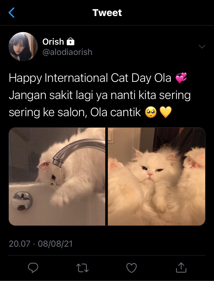 RT @jenobeat: International Cat Day! https://t.co/bGVwUVONDq