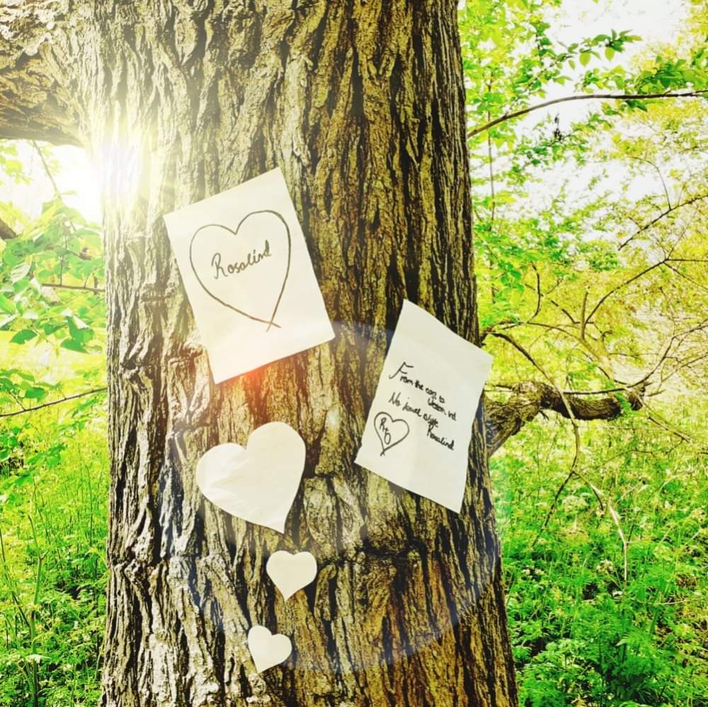 “All the worlds a stage, &amp; all the men &amp; women merely players!” 

You know the famous words, so come and see it on stage this summer! ☀️

Brand new company <a href="/Menagerie_LF/">Menagerie of the Lost & Found</a> present their groundbreaking version of AS YOU LIKE IT ✨

21st August
2pm &amp; 7pm
ow.ly/RlZ150FJAfm

💚