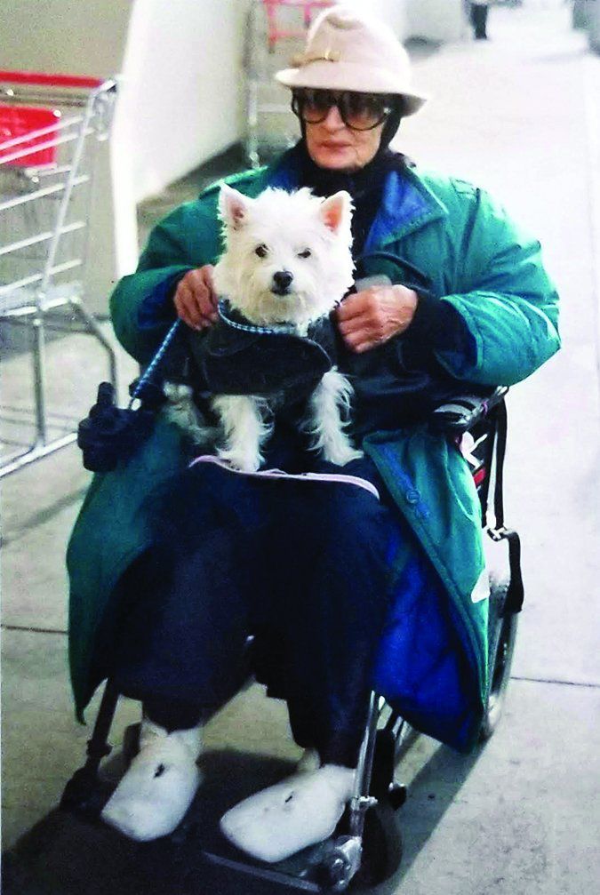 WholeDogJournal's tweet photo. You might need to make some adjustments, but you can absolutely continue to share your life with dogs as you age.

https://t.co/RnLlk3k3Yt https://t.co/Olrsh7apLy