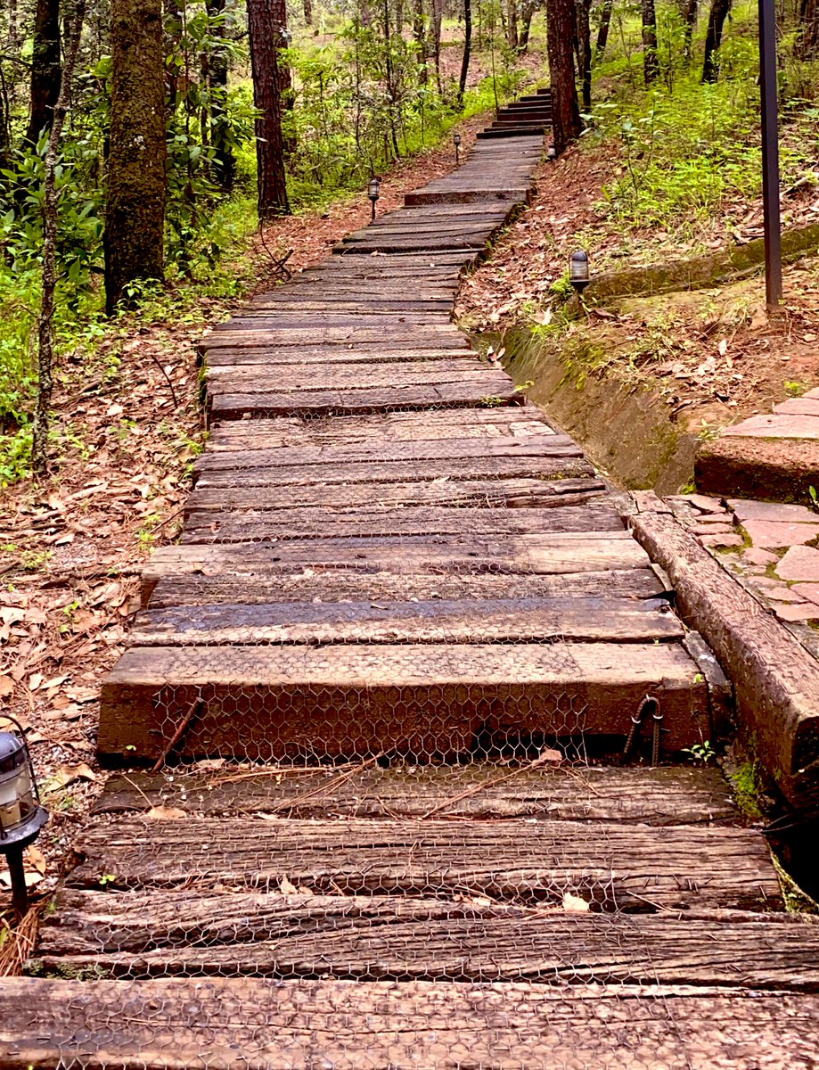 No_fear_ishere's tweet image. #success comes easily when #yourtrueself is a #trustedguide (Deepak Chopra)