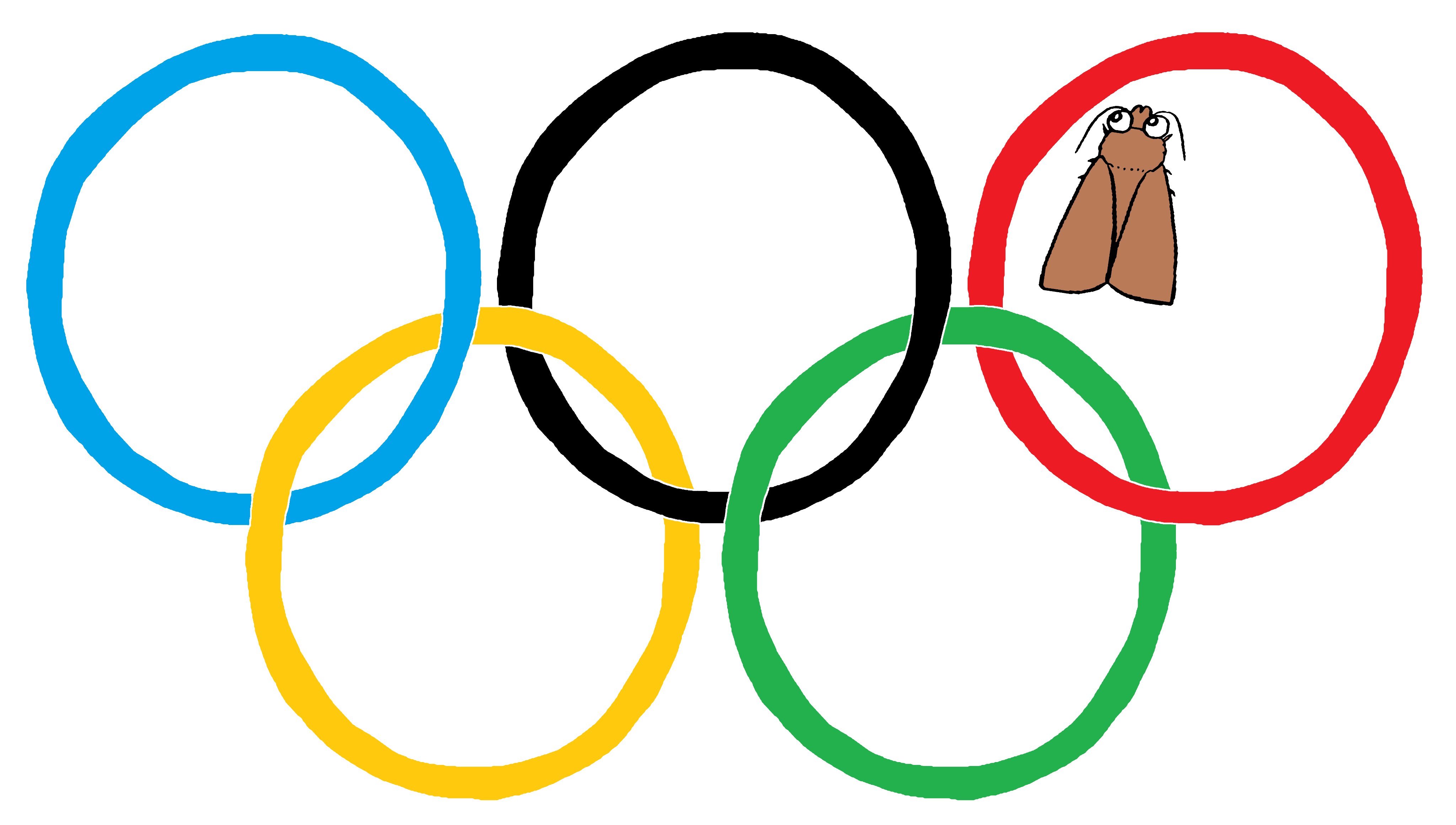 堀川ランプ 昆虫列伝 オリンピック閉会式の五輪マークにとまってる蛾が可愛かったので描いてみました 閉会式 Tokyo T Co Hwkvoth5tt Twitter