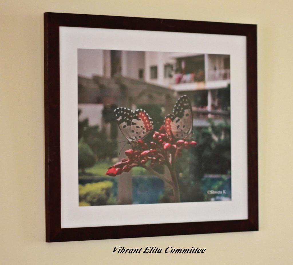 Namma Elita Promenade tweet media