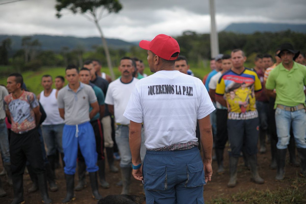 #EditorialEE Apostarle a la paz sigue siendo necesario.
bit.ly/3jzjvOT