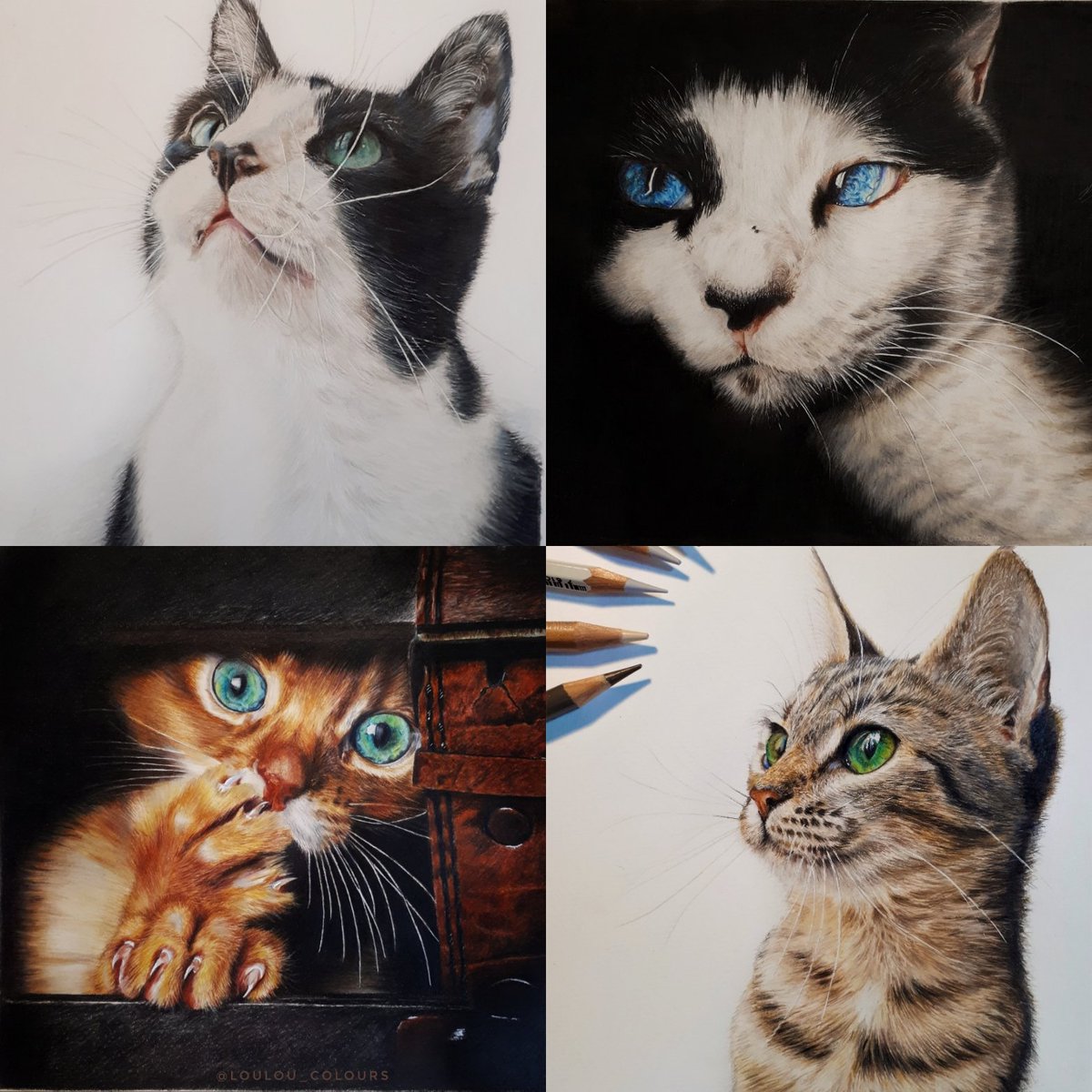 RT @LoulouColours: Happy International Cat Day!

Colored pencils on white paper https://t.co/I6qpEPERig