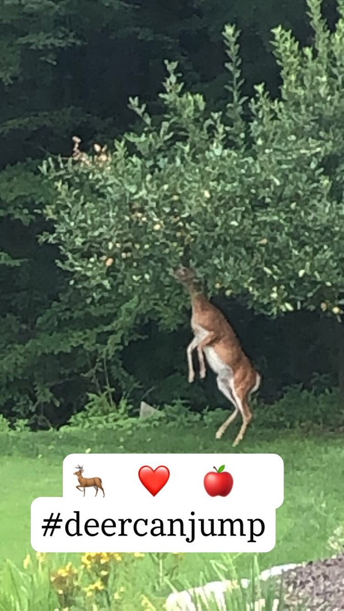 I thought I’d seen it all😭🤣😂