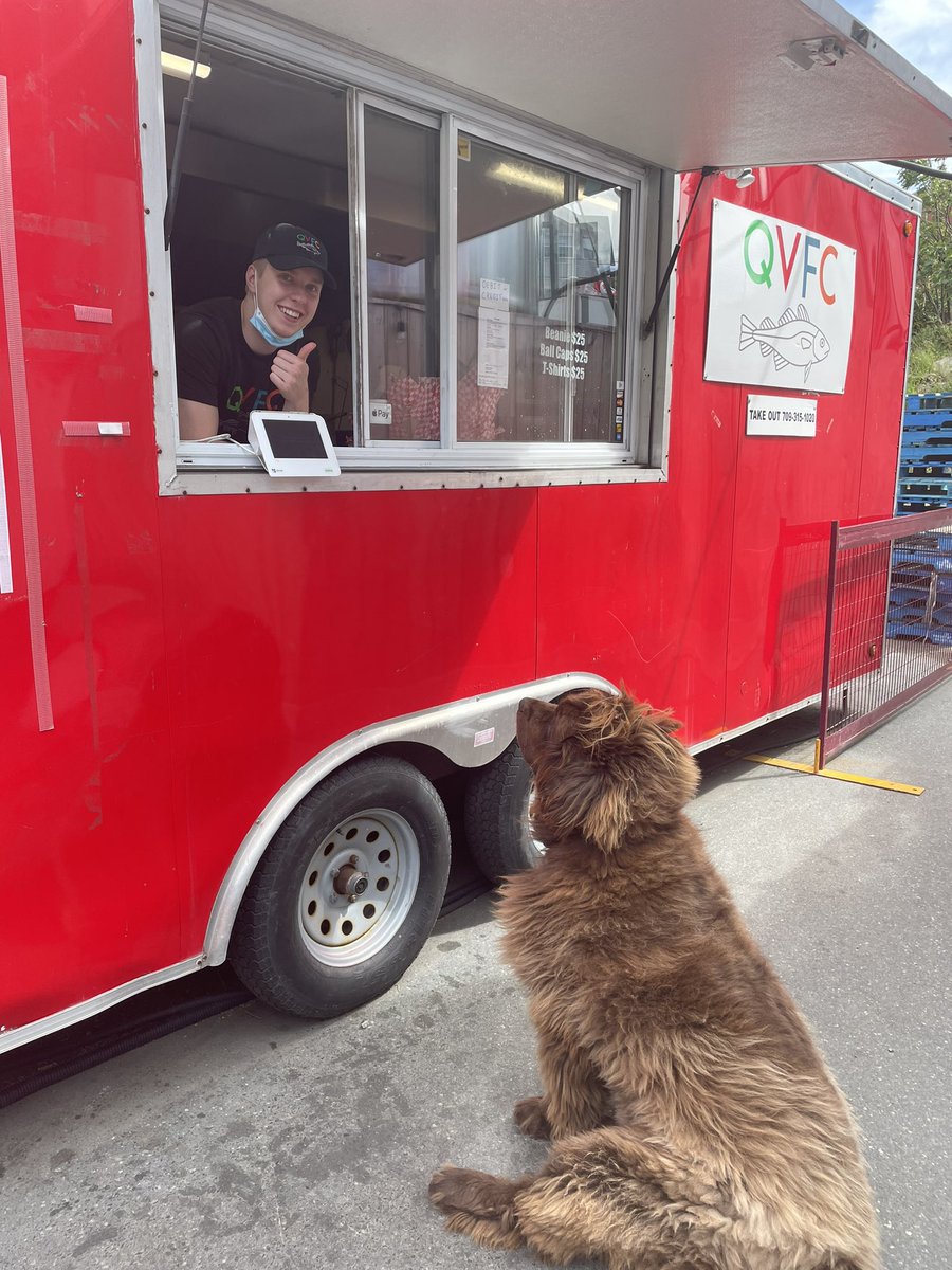 Idontcare_Dylan's tweet photo. We had a lovely visitor down at @QVFCNL truck yesterday https://t.co/LjKwRHu7Zi