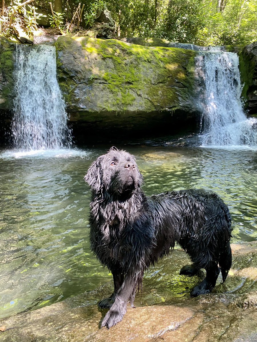 Brian Sims 🌈 tweet media