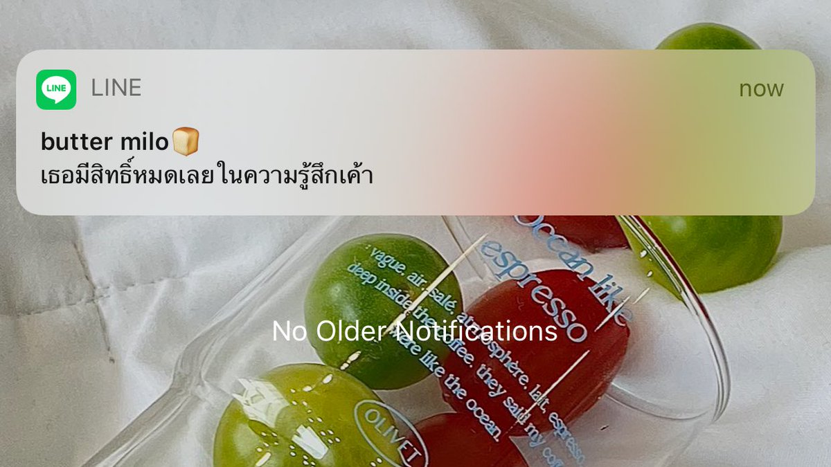 ⌗ 𝗯𝗲 𝘆𝗼𝘂𝗿 𝗵𝗼𝗺𝗲 🏠🪴 (@biyohome) on Twitter photo 