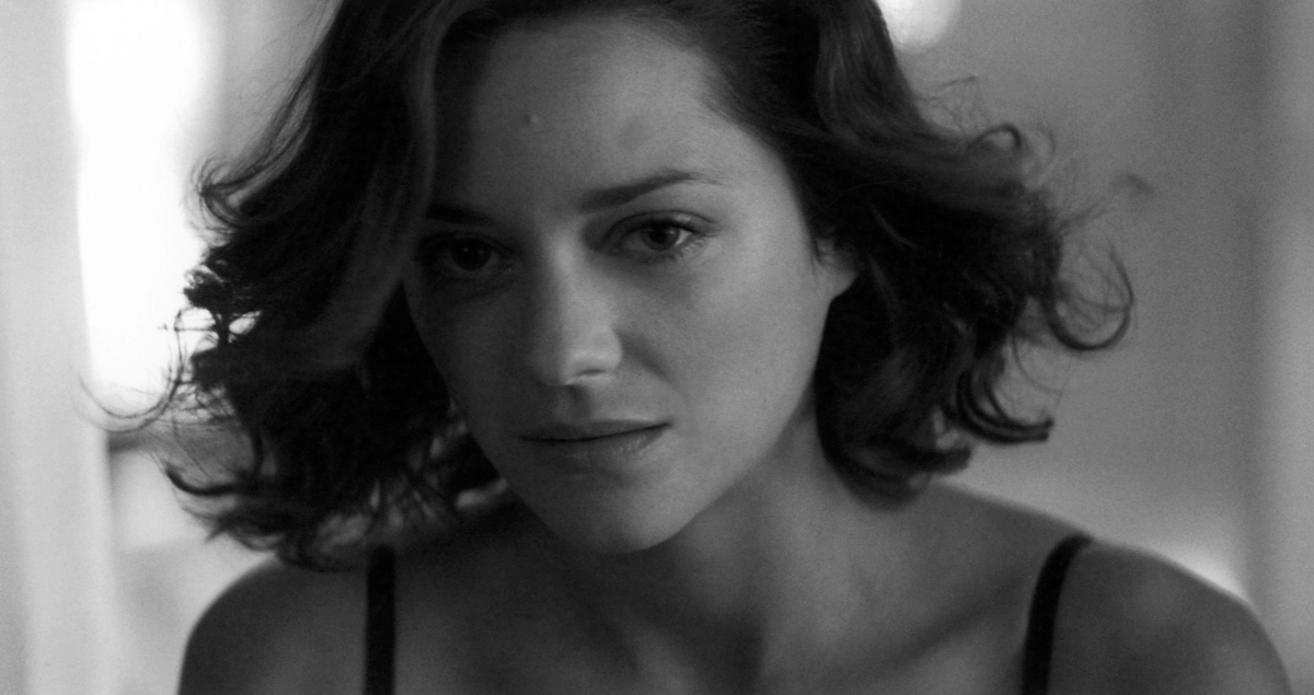 filmfest's tweet photo. "Do you know what it is to be a lover? Half of a whole?"
- Marion Cotillard as Mal in Inception โค๏ธ
#InceptionWeek #ChristopherNolanMonth https://t.co/3HtIMsVvY8