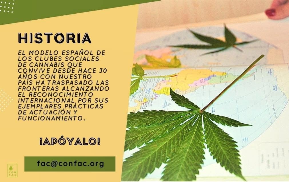 ▪️#HISTORIA 

🌏El modelo español de los clubes de #cannabis que convive desde hace más de 30 años con nuestro país ha traspasado fronteras alcanzando el reconocimiento internacional por sus #ejemplares prácticas de actuación y funcionamiento. 

¡APÓYALO! 

📩👉🏽 fac@confac.org.