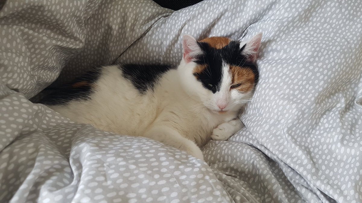 Marina Altoè 🌊 tweet media