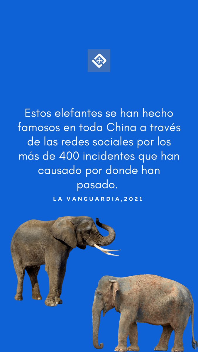 DroneeLearning's tweet photo. ¿Te parece creativa esta aplicación que le dan a la tecnología de drones? #drones #cursos #elefanteserrantes #cursosdedrones #cursosdrones #droneelearning https://t.co/HJun19yL9M