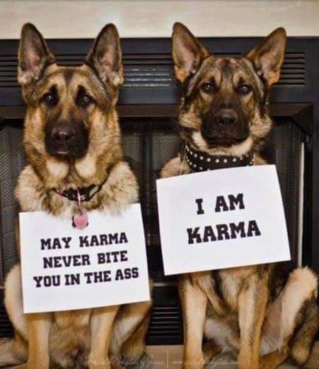 <a href="/OccupyDemocrats/">Occupy Democrats</a> Karma Melania Karma