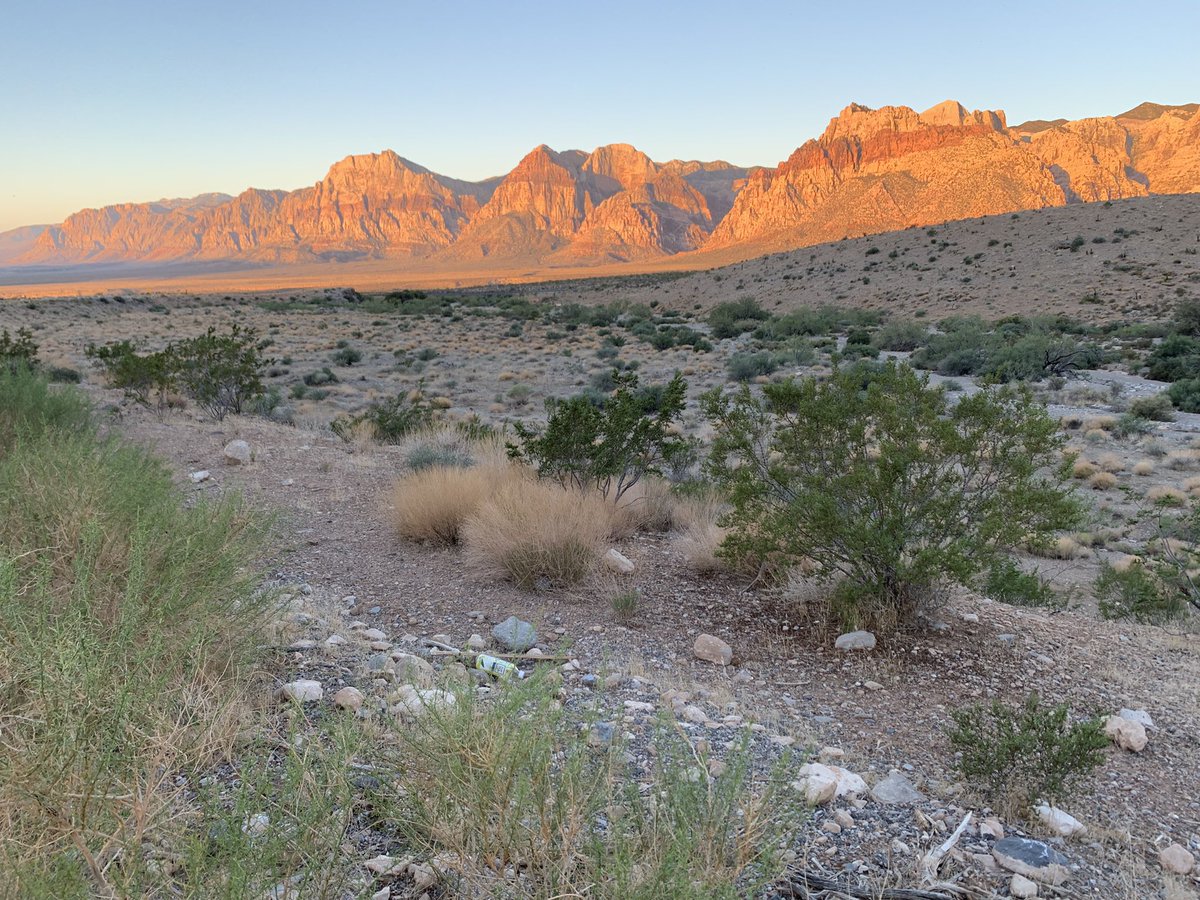 HIT Like a Girl Pod tweet media