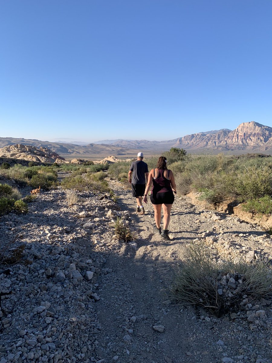 HIT Like a Girl Pod tweet media