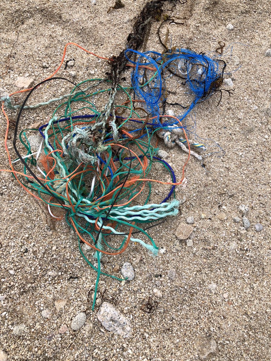 debi_tr's tweet photo. #2minutebeachclean #Scilly https://t.co/CTB46w6hc2