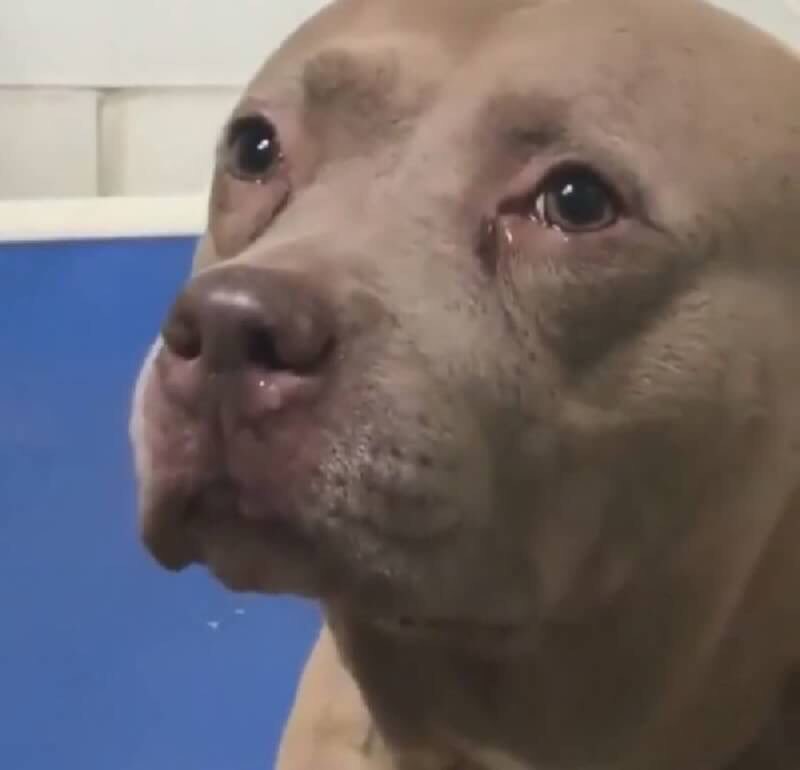 เราสองคน