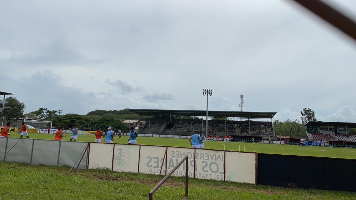 Estamos de vuelta 😎🦁