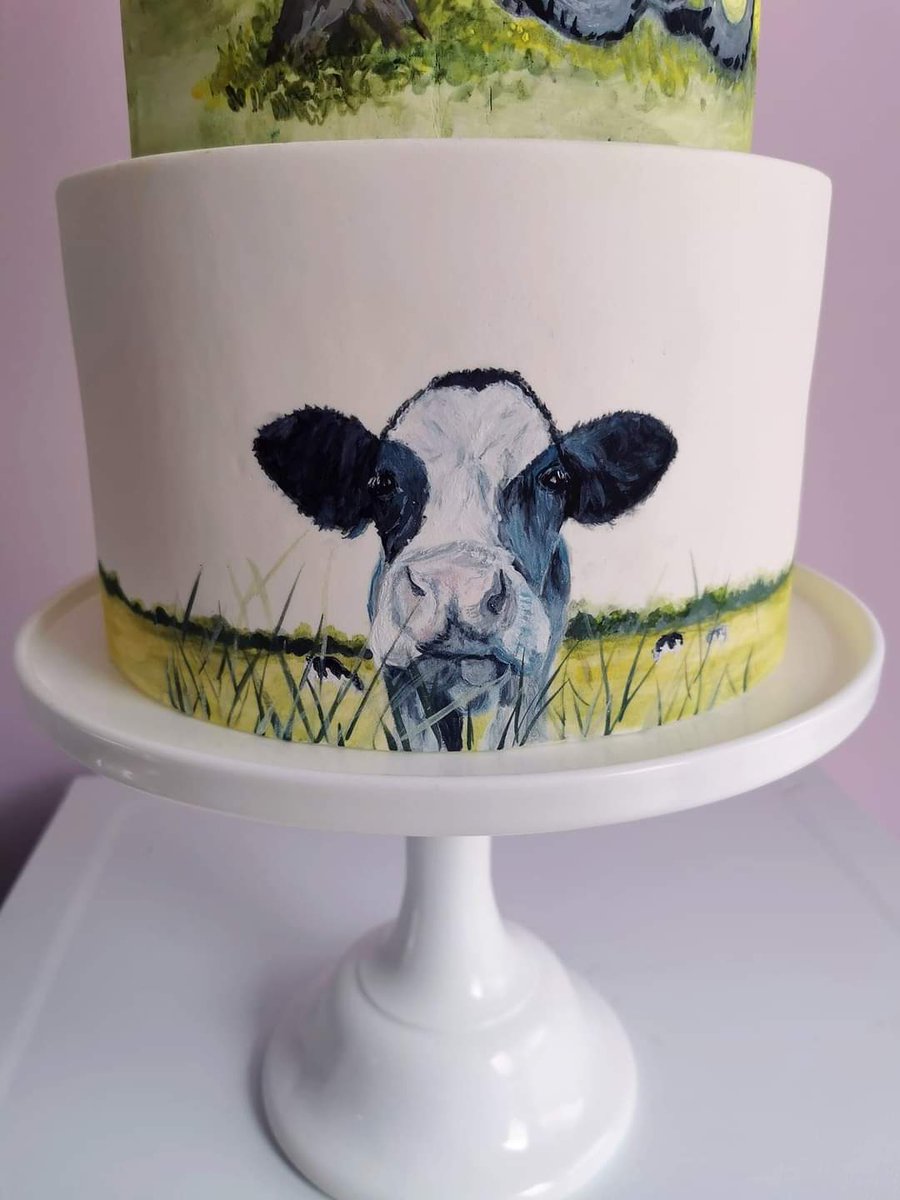 I've finished painting my farm cake now but can't get any decent photos to show you. I will show you once I'm happy with them.
#Anglesey #cake #paintedcake #farmwedding #farmlife #farm