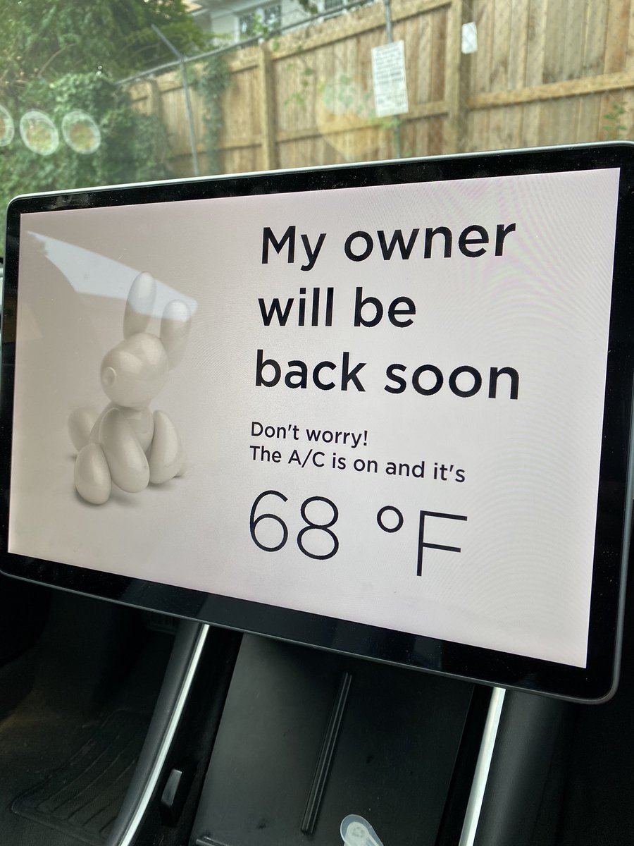 heart0fwar's tweet photo. my friend just left me in his car and put it in dog mode https://t.co/USokShtkH0