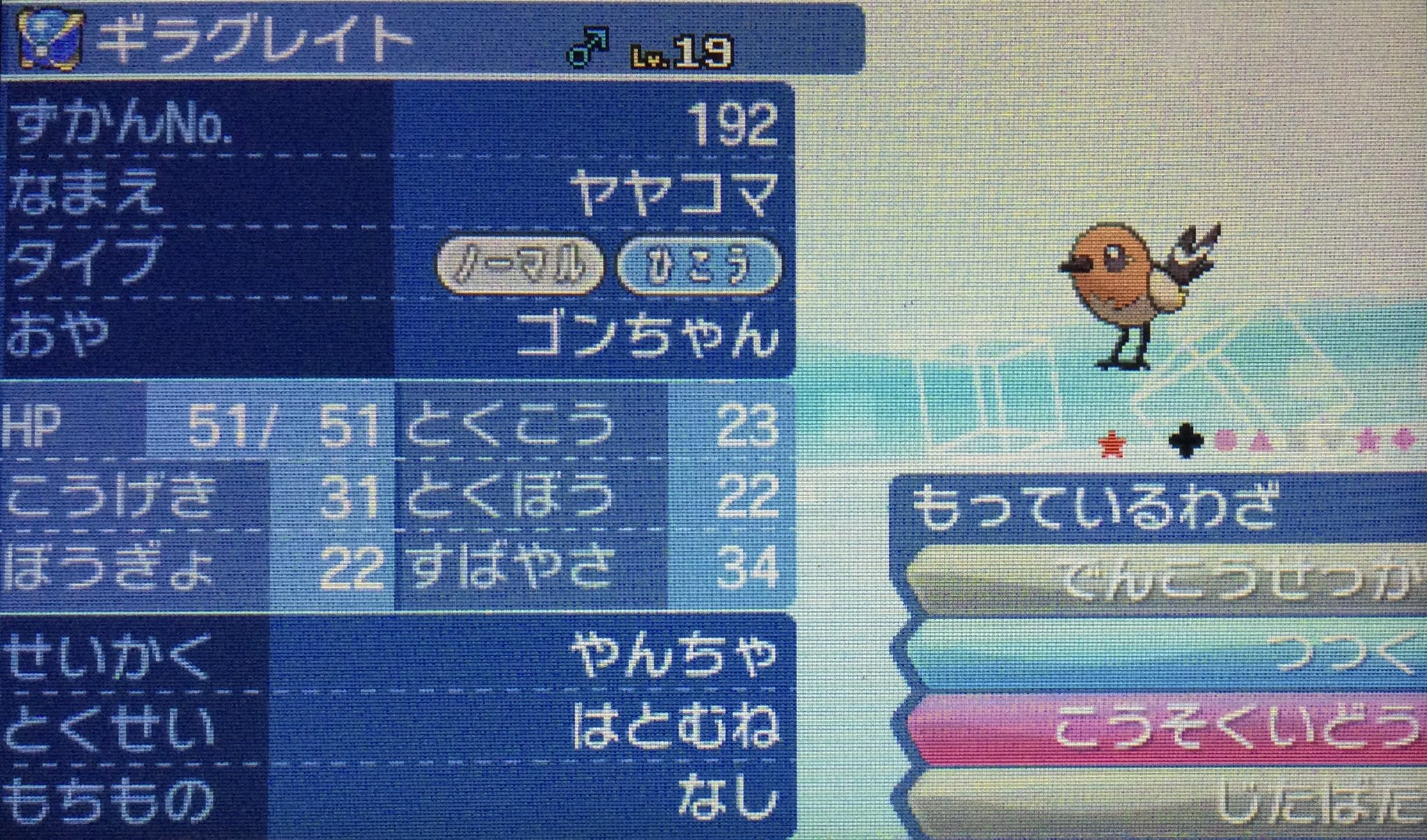 ゴンちゃん ポケモンsv ﾉ ヾ 11月18日発売 ゴンちゃん誕生日 ウルトラサンムーン 色違い616 617体目 10 11 色違いヤヤコマと色違いヒノヤコマです ㅅ 久々の連鎖な気がする 3 ヽ 圧倒的夢特性率かつシンクロ