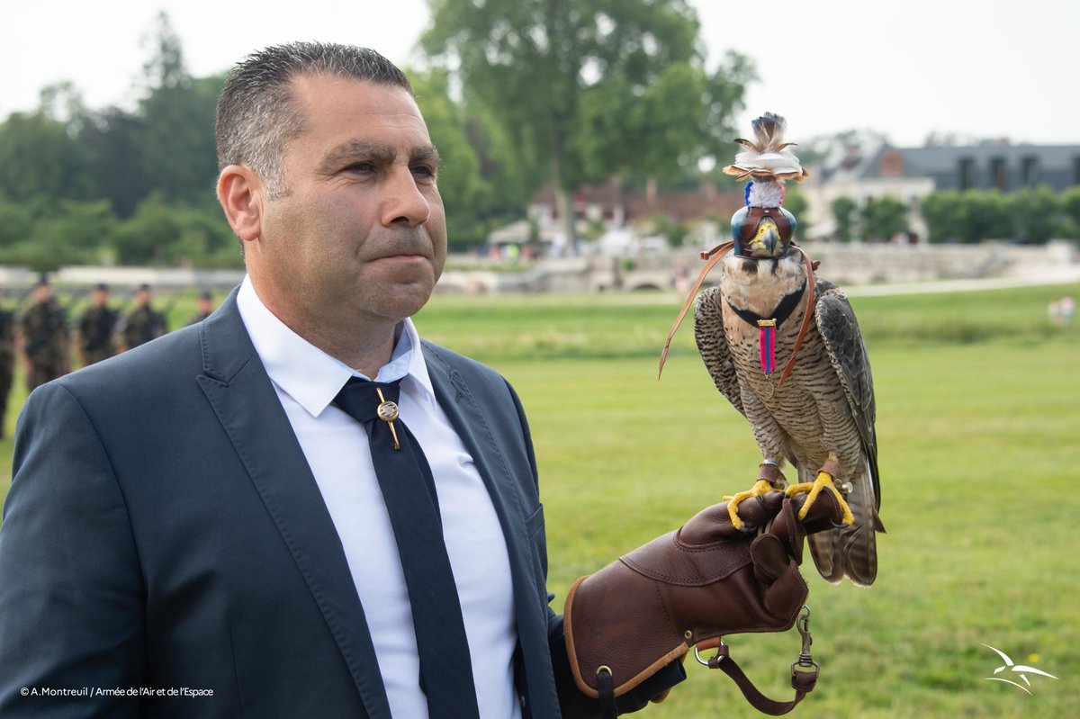 armeeszoneouest's tweet photo. 🦅🎖️Faucon pélerin servant au sein de la section de prévention du péril animalier (SPPA) de la base aérienne 702 Avord #BA702, Ortega est le premier faucon a avoir été décoré, à titre exceptionnel, de la médaille de la défense nationale échelon bronze, le 23 juillet #NotreDéfense https://t.co/0MNm8fAxZT