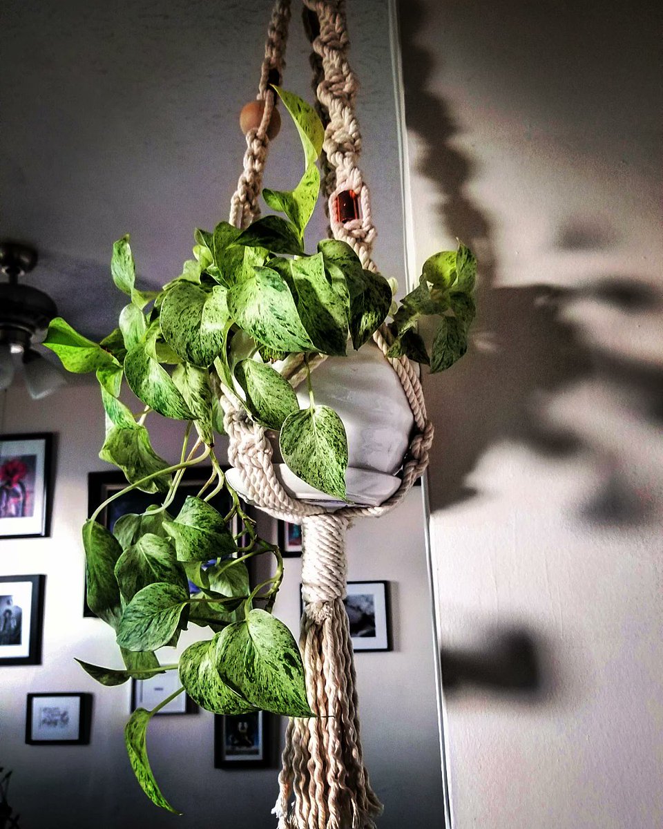 frenchifry's tweet image. Happy rainy, musing Sunday / Dimanche campers... #Thunderstorm #LightShadows #DimancheDIMANCHE #Vert #RoomWithAView #Weekending #PlantMaman