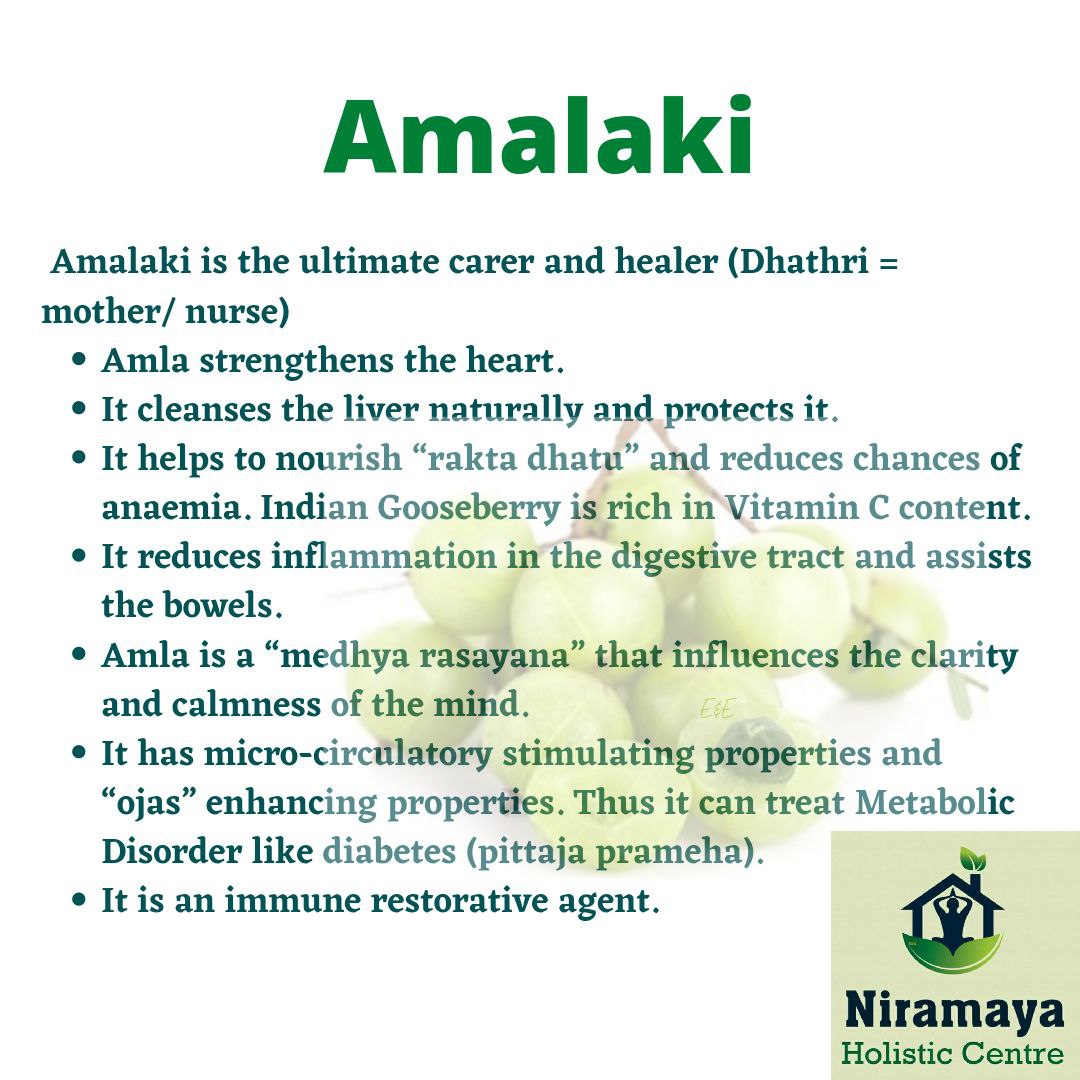 Niramayahc's tweet photo. Know more about Vitamin Rich Herb: Indian gooseberry (Amalaki).
#Amalaki #IndianGooseberry
#Triphala #ayurveda #immunity #rasayanam #ayurvedalifestyle #ayurvedalife #healthylifestyle #diabeticscare #eyecare #ayurvedicmedicine #indianculture #keralagodsowncountry #ayush https://t.co/mBJ3Bg2sfh