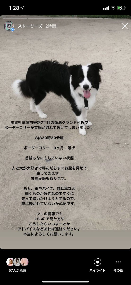 Moeno Moenotaaaaan Twitter