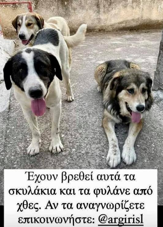 DCersei's tweet photo. ΒΡΕΘΗΚΑΝ ΑΥΤΑ ΤΑ ΜΙΚΡΑ #OPENTV #πυρκαγια #βαρυμπομπη https://t.co/4srKL9O6Zf