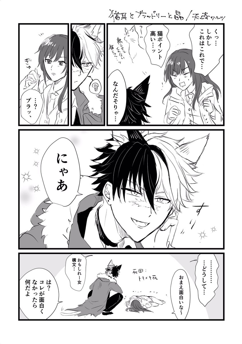 #まほやく男女CP
猫耳とブラ晶♀ https://t.co/gT9I55W0Kt