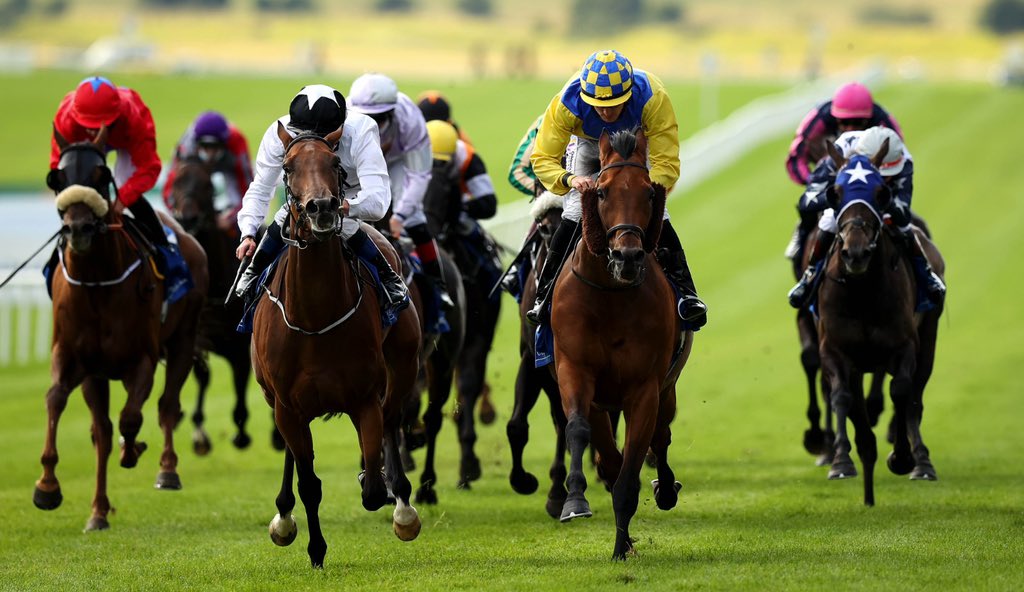 The Curragh Racecourse tweet media