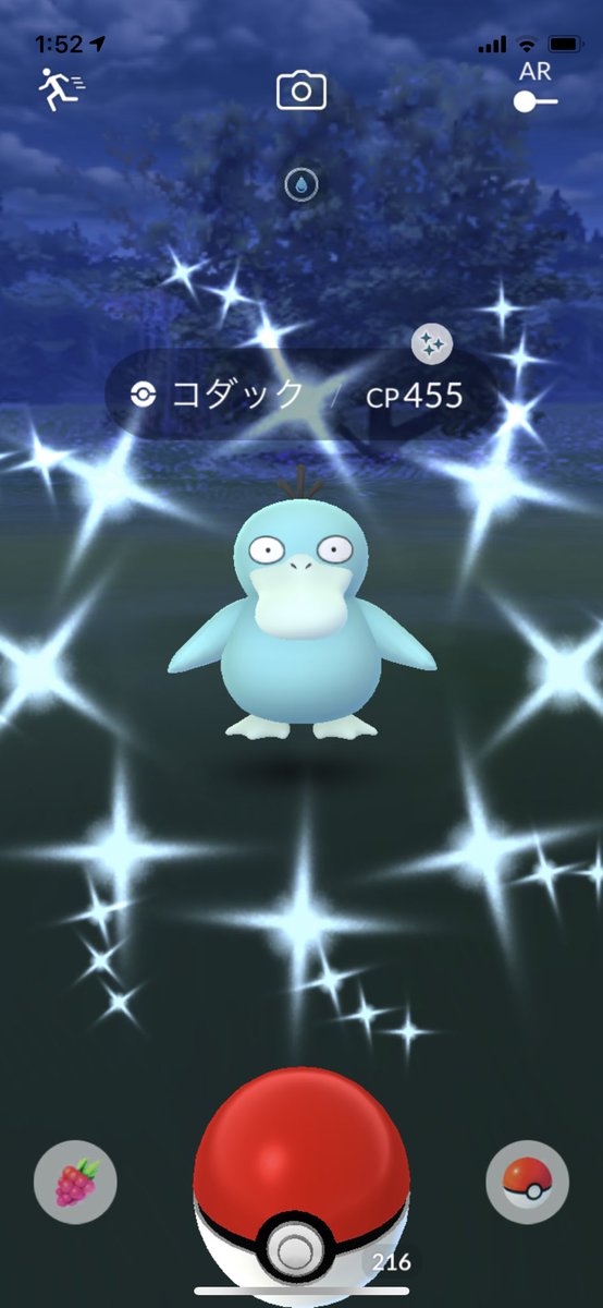 コダック色違い Twitter Search