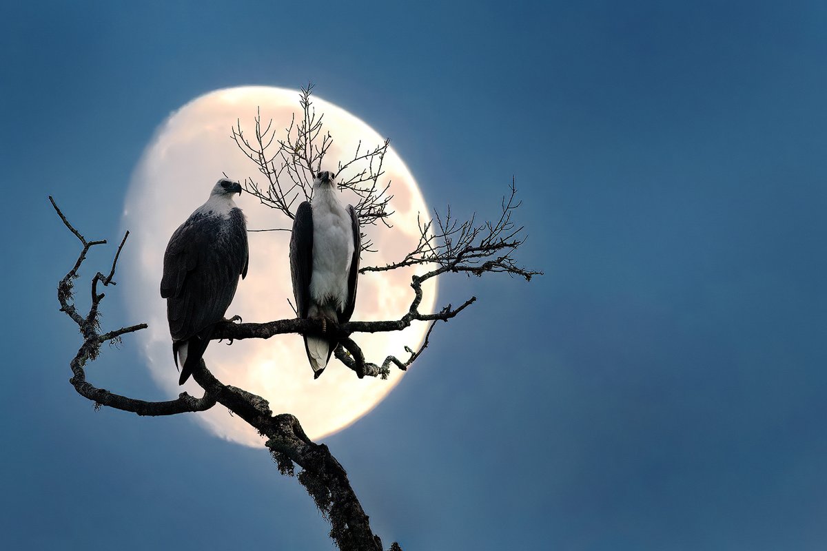 Photographer (@photo5065) on Twitter photo 
