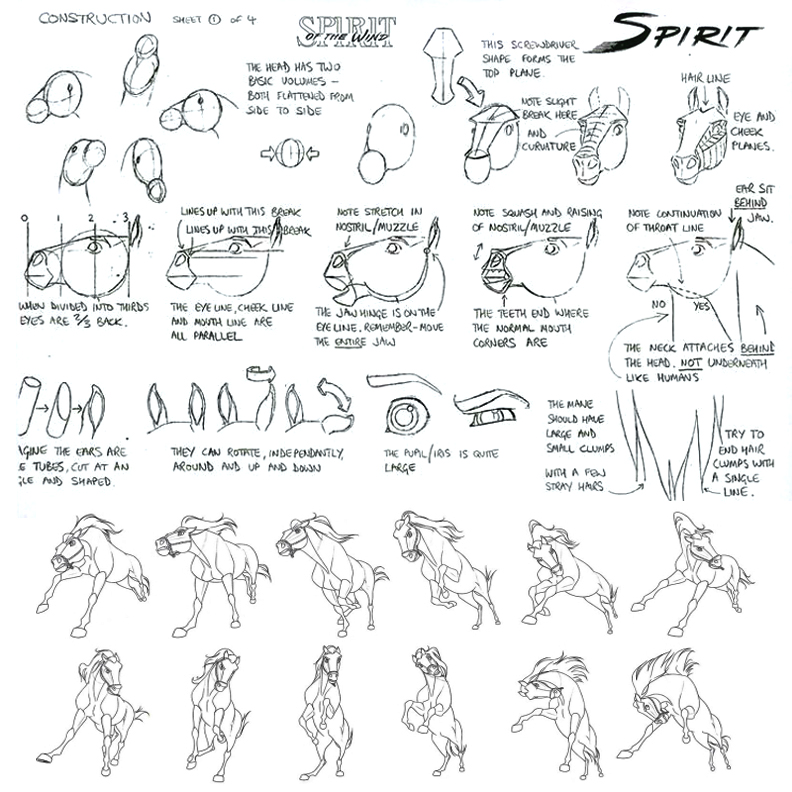Our feature tutorial today is this BEAUTIFUL page of ANIMATOR'S NOTES on DRAWING HORSES from the original SPIRIT! So useful! #howtodraw #drawingtutorial #conceptart #gamedev #animationdev #gameart #tutorial #indiegame #comicart #horse #horses #spirit