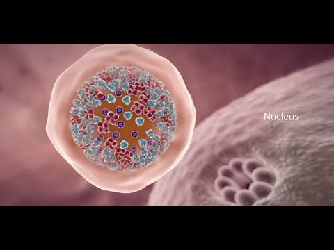 LabsOnTheGo1's tweet photo. This video 3D animation on COVID-19: What Happens If You Get Coronavirus is a collaboration between Nucleus Medical Media and our friends at the What If ...          via: https://t.co/jWxefjxBVT https://t.co/USbIfmHXB3