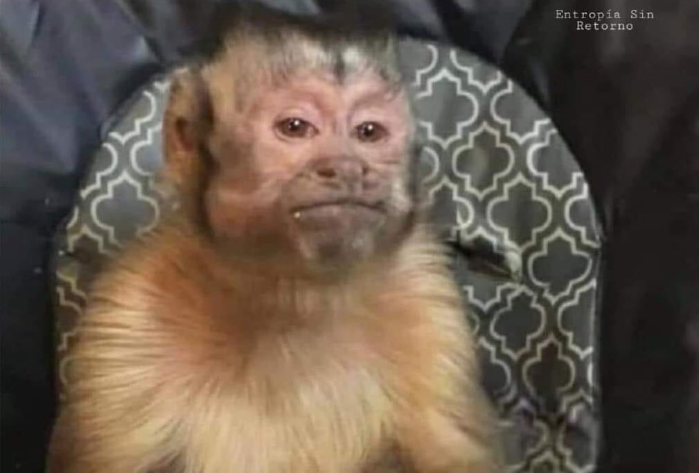 Cuando estás en la primera cita y comienza a hablar de horóscopos